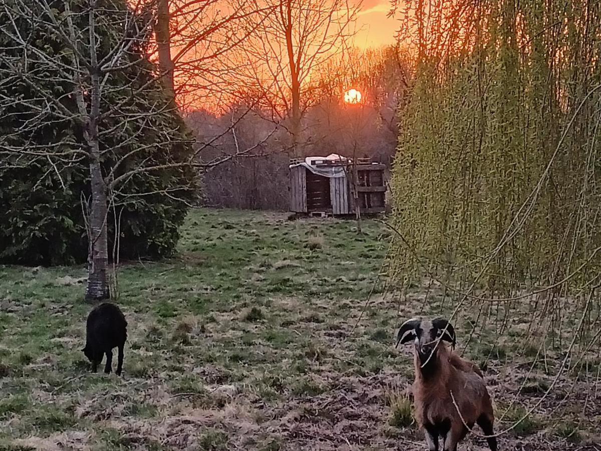 Les Chambres Du Vert Galant "Coucher De Soleil" Verlinghem Екстериор снимка